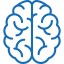 brain 1